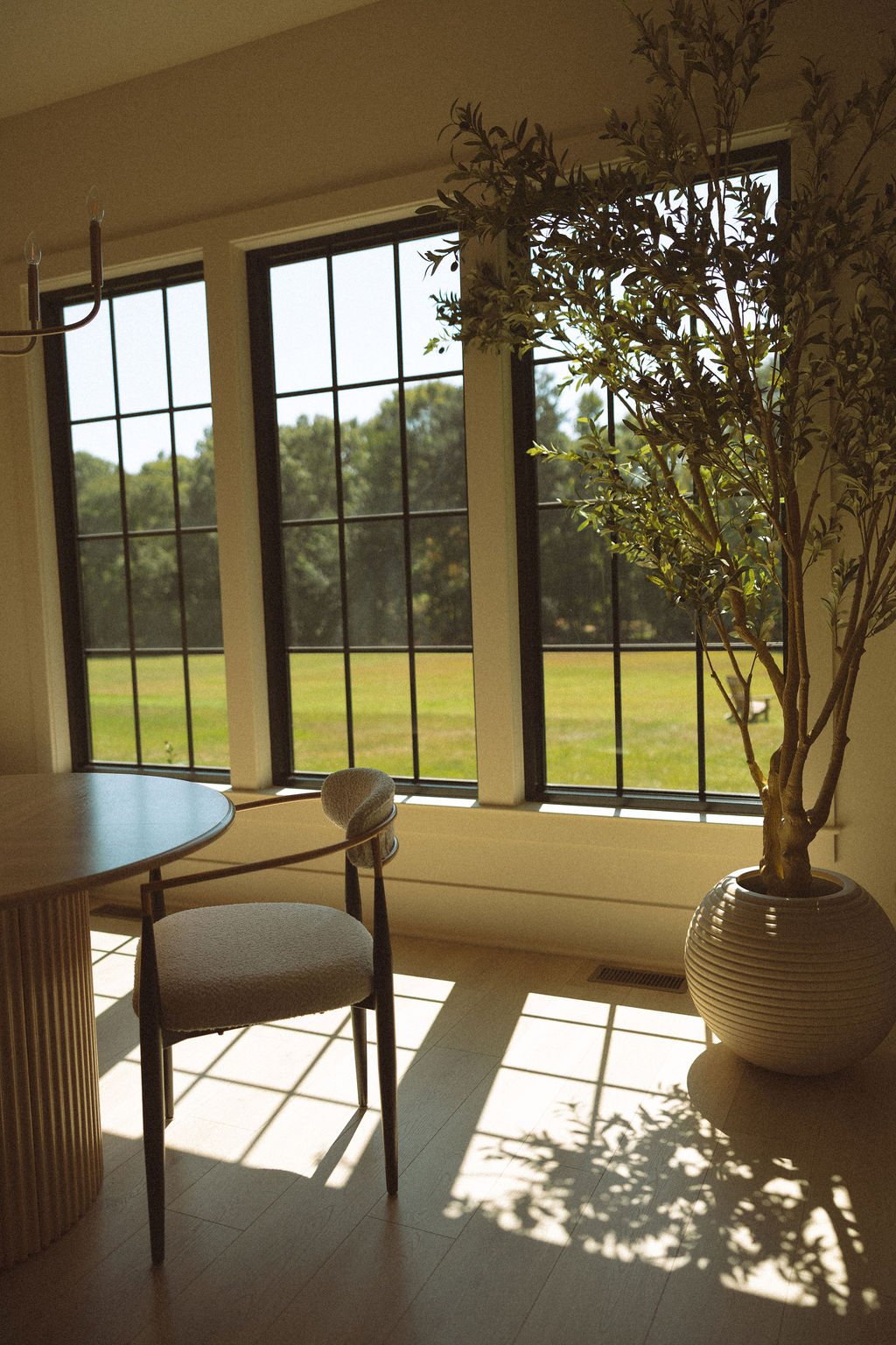 Afternoon sun across the dining nook, an olive tree beside the window